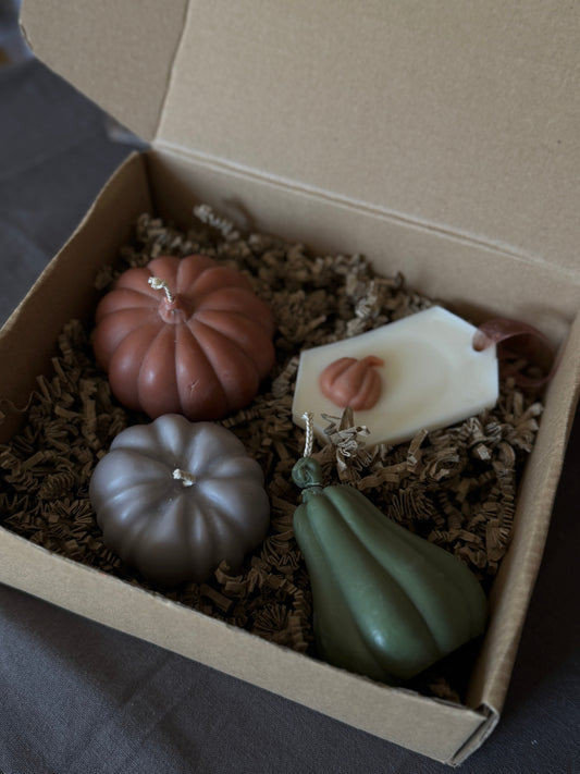 Coffret Bougie végétale d'Automne n°2 - parfum de Grasse Aurabloom